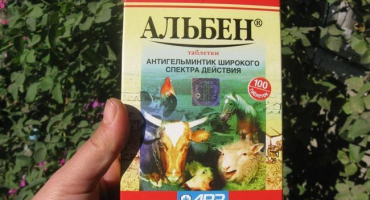 Návod k použití a složení albenu pro selata, kontraindikace a analogy